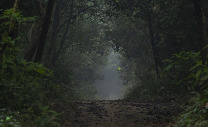Jungle safari experience in Balmiki Nagar Bihar