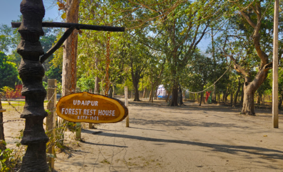 Bird watching experience in Balmiki Nagar forest