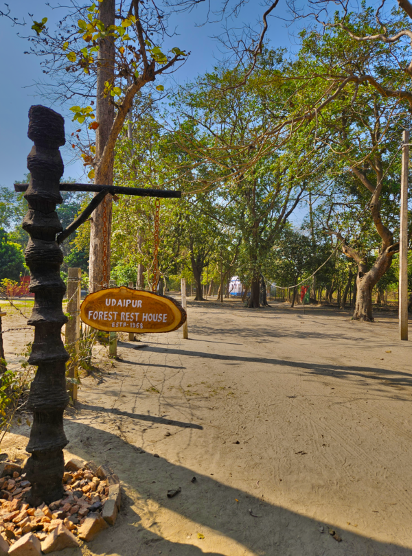 Bird watching experience in Balmiki Nagar forest