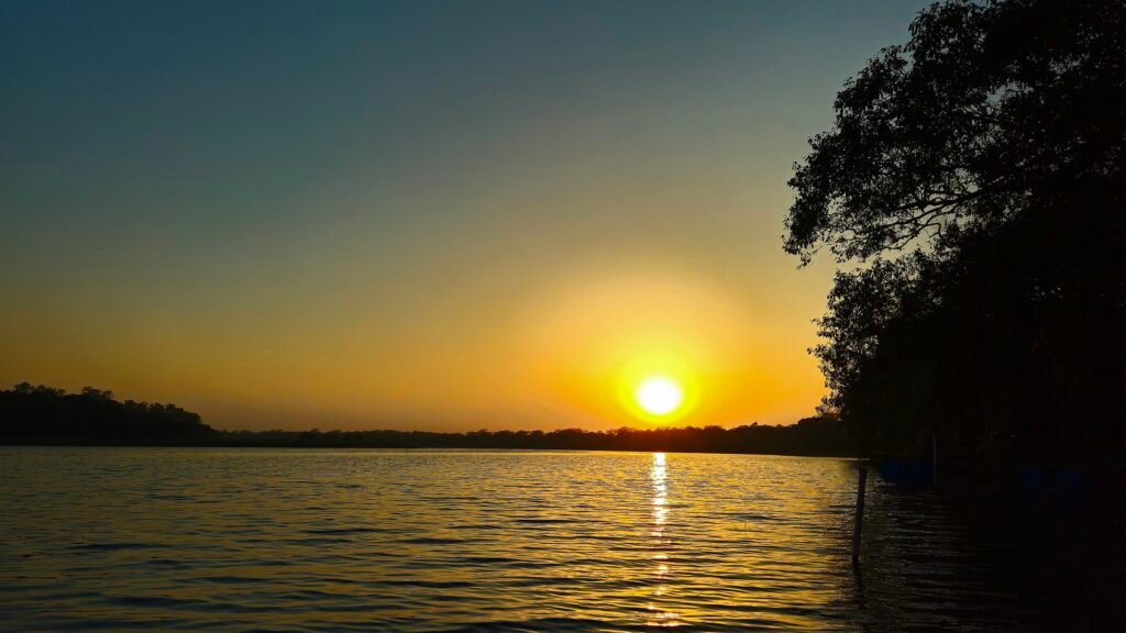 Forest view in Balmiki Nagar Bihar
