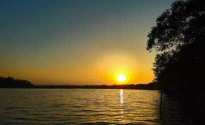 Forest view in Balmiki Nagar Bihar