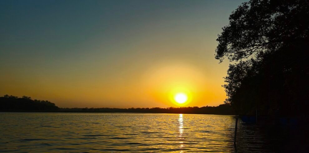 Forest view in Balmiki Nagar Bihar